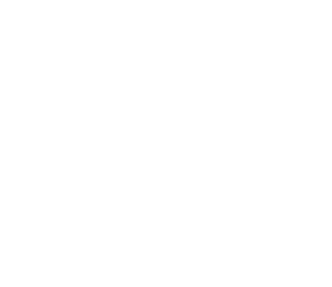 Монетка